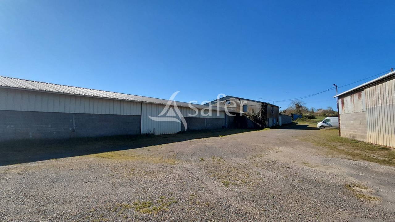 Sheep farm  Deux-S&egrave;vres