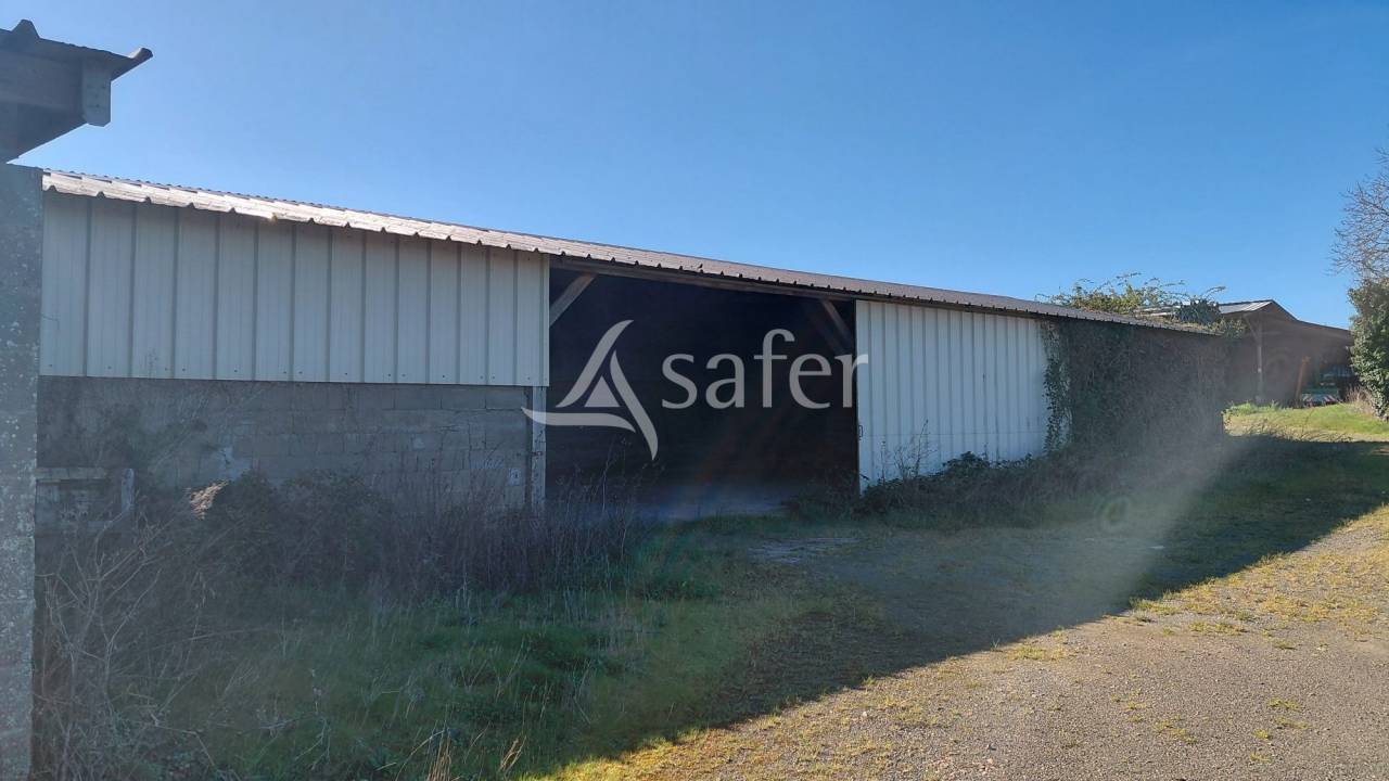 Sheep farm  Deux-S&egrave;vres