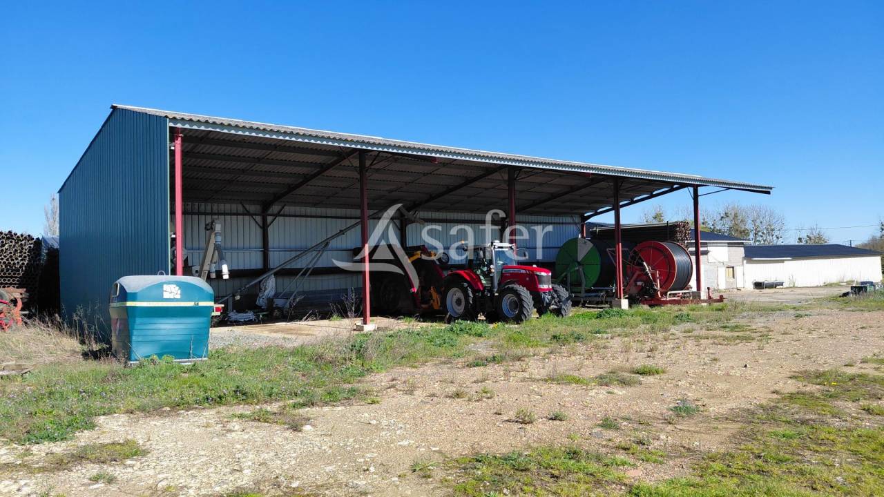 Sheep farm  Deux-S&egrave;vres