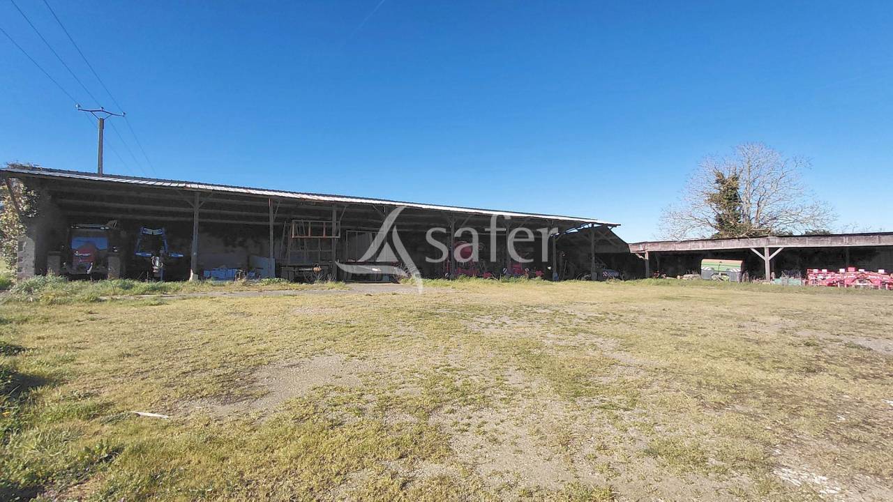 Sheep farm  Deux-S&egrave;vres