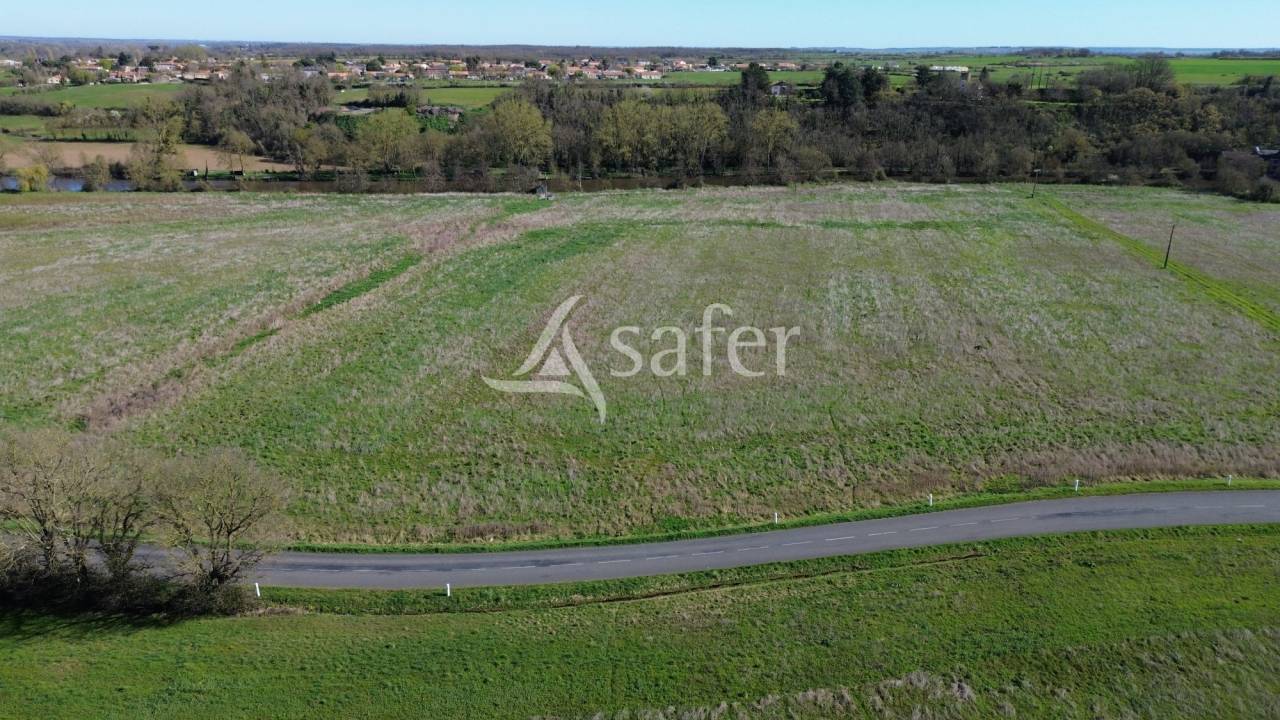 Sheep farm  Deux-S&egrave;vres