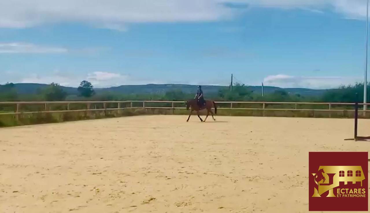 Equestrian property  Sa&ocirc;ne-et-Loire