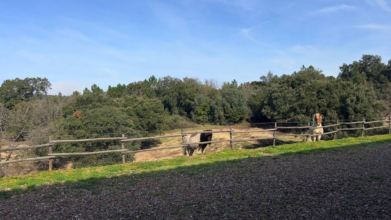 Luxurious equestrian property  Var