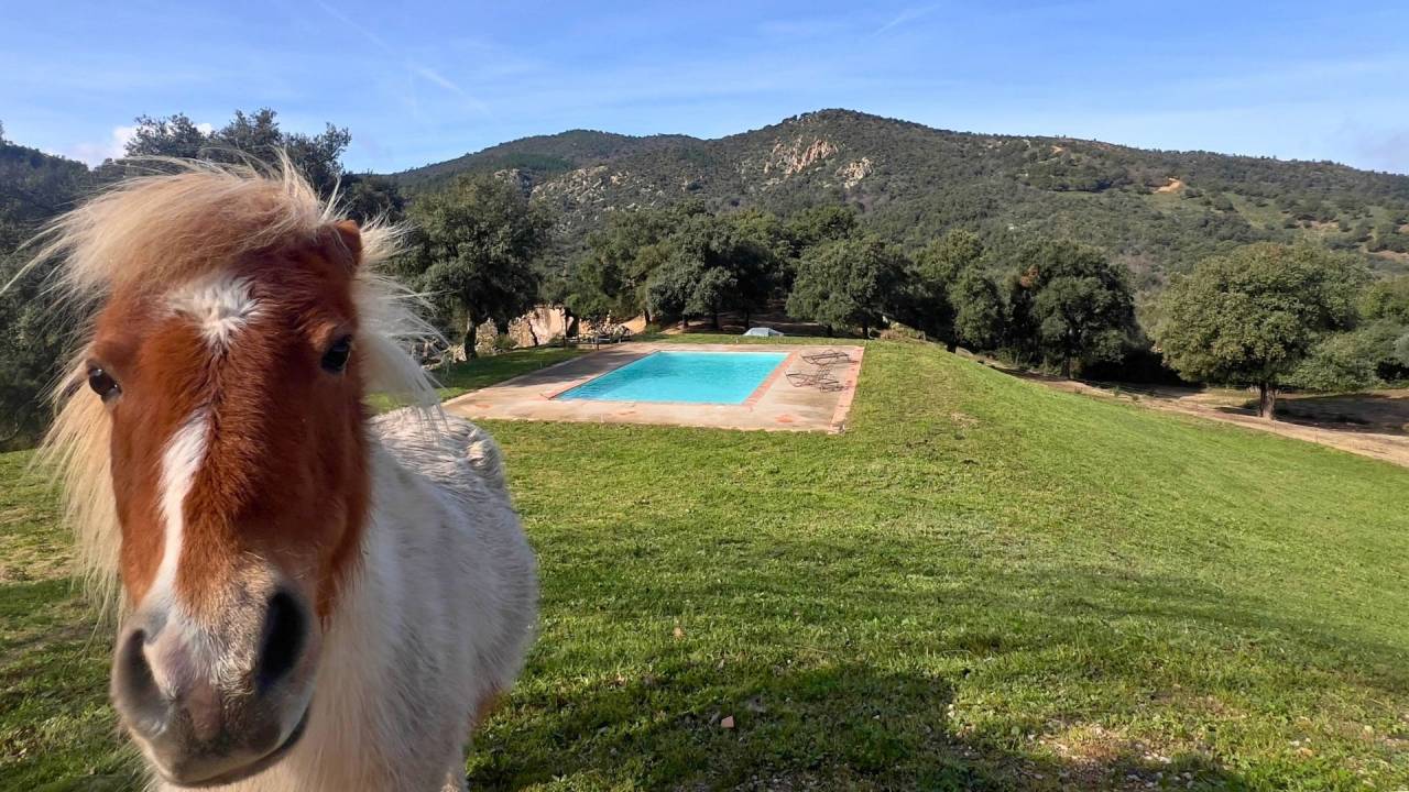 Luxurious equestrian property  Var