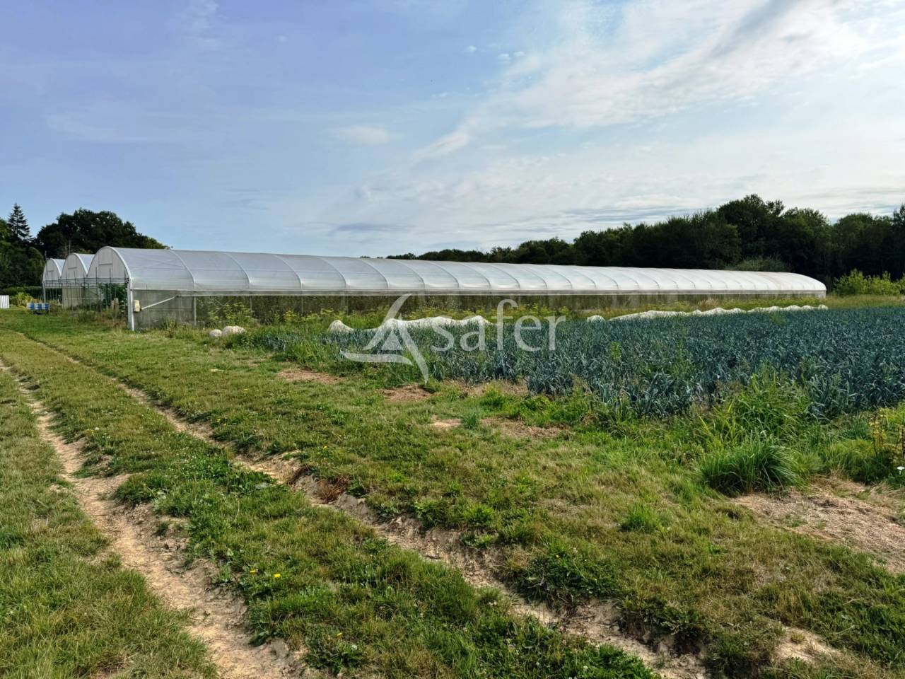 Poultry farm  Seine-et-Marne