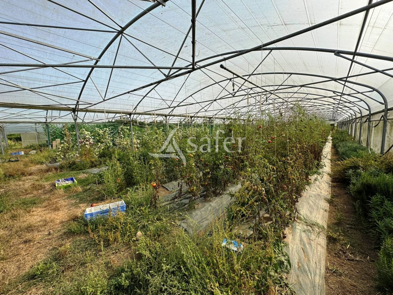 Poultry farm  Seine-et-Marne