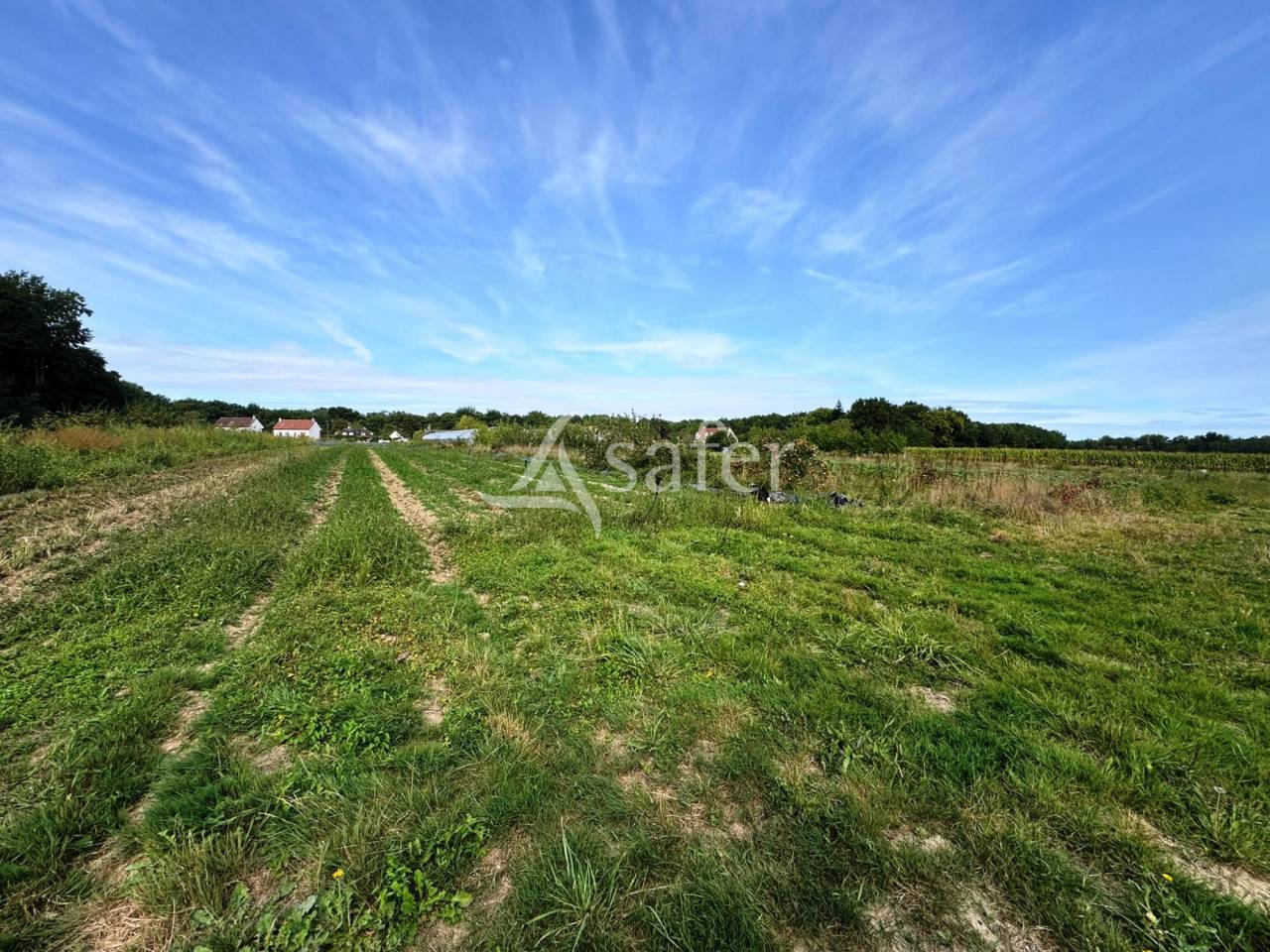 Poultry farm  Seine-et-Marne