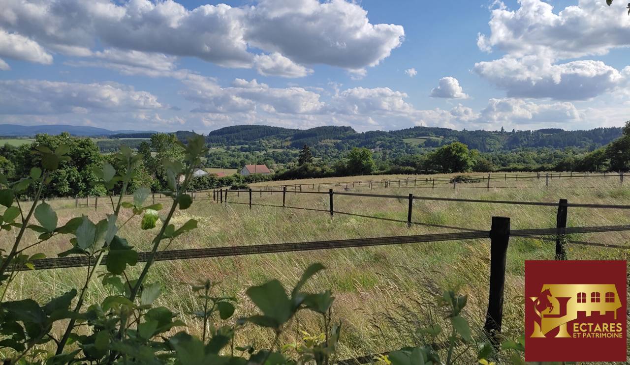 Equestrian Bed and Breakfast  Allier