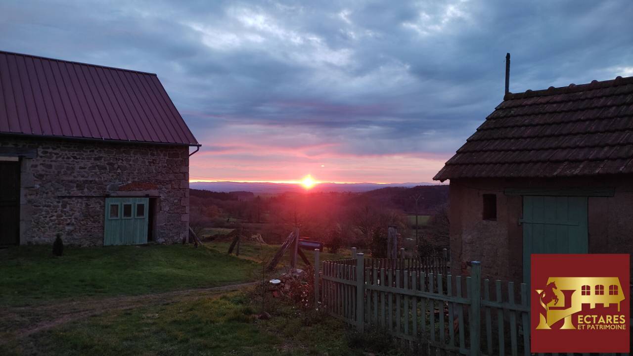 Equestrian Bed and Breakfast  Allier