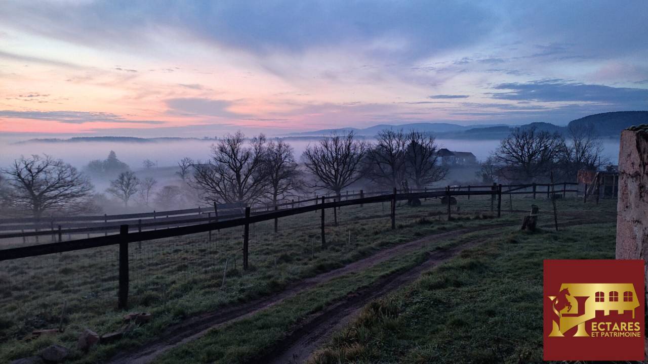 Equestrian Bed and Breakfast  Allier