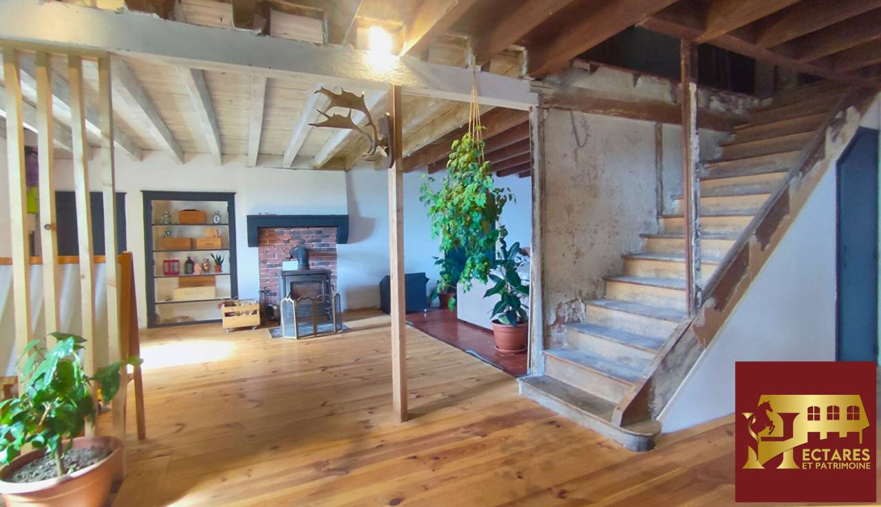 Equestrian Bed and Breakfast  Allier