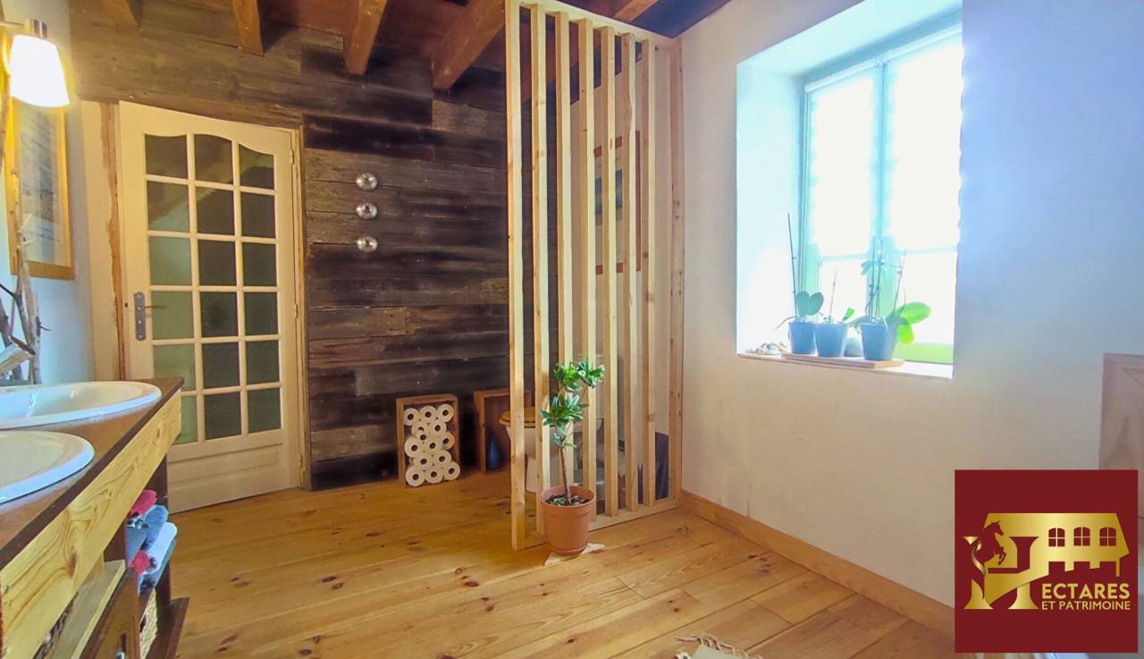 Equestrian Bed and Breakfast  Allier