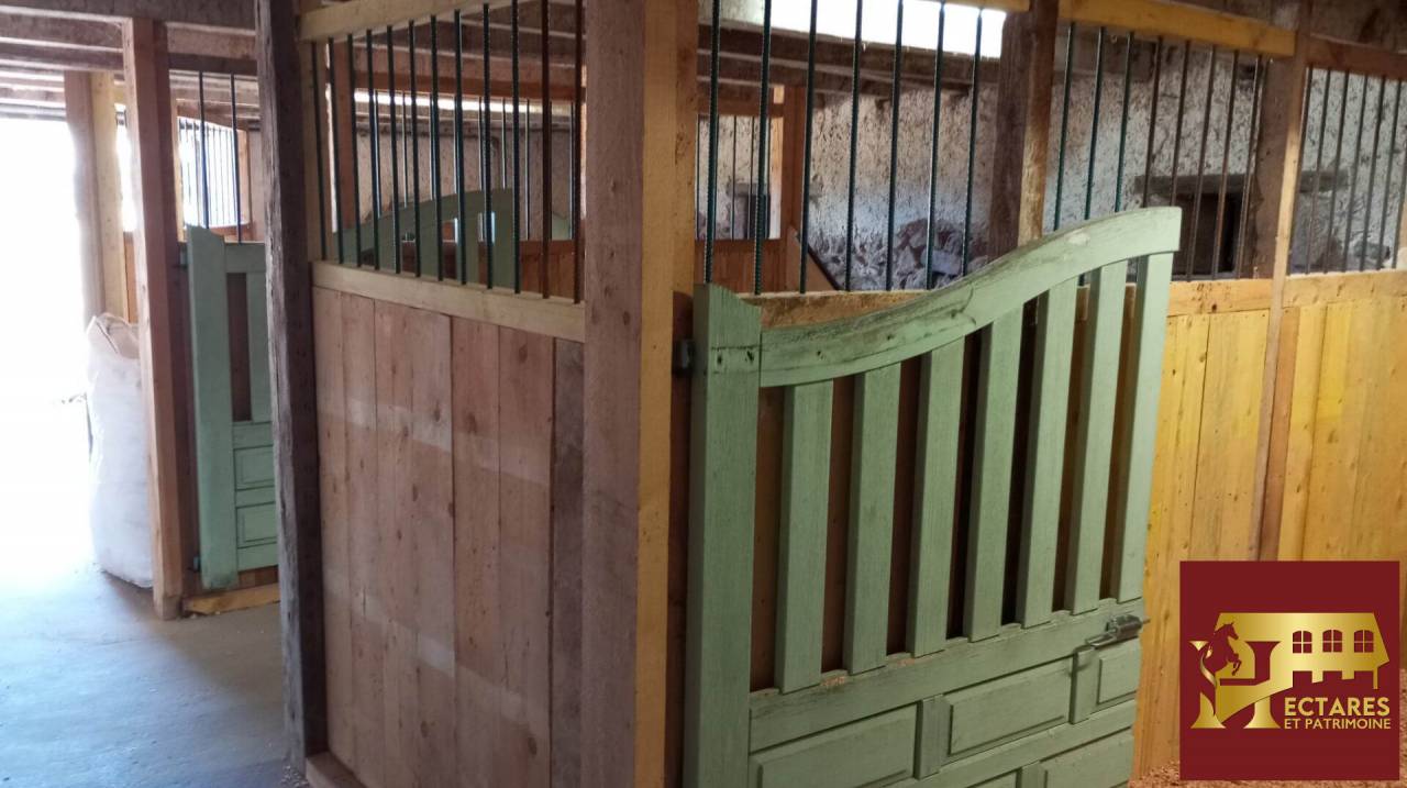 Equestrian Bed and Breakfast  Allier