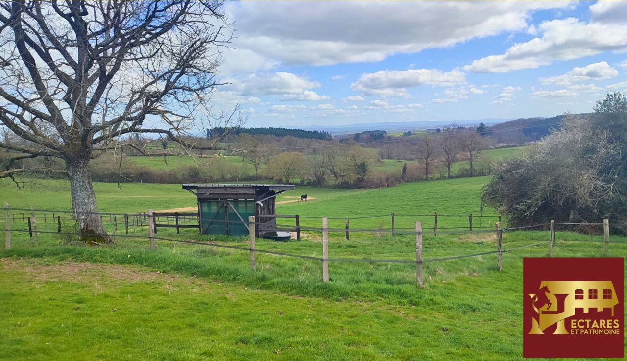 Equestrian Bed and Breakfast  Allier