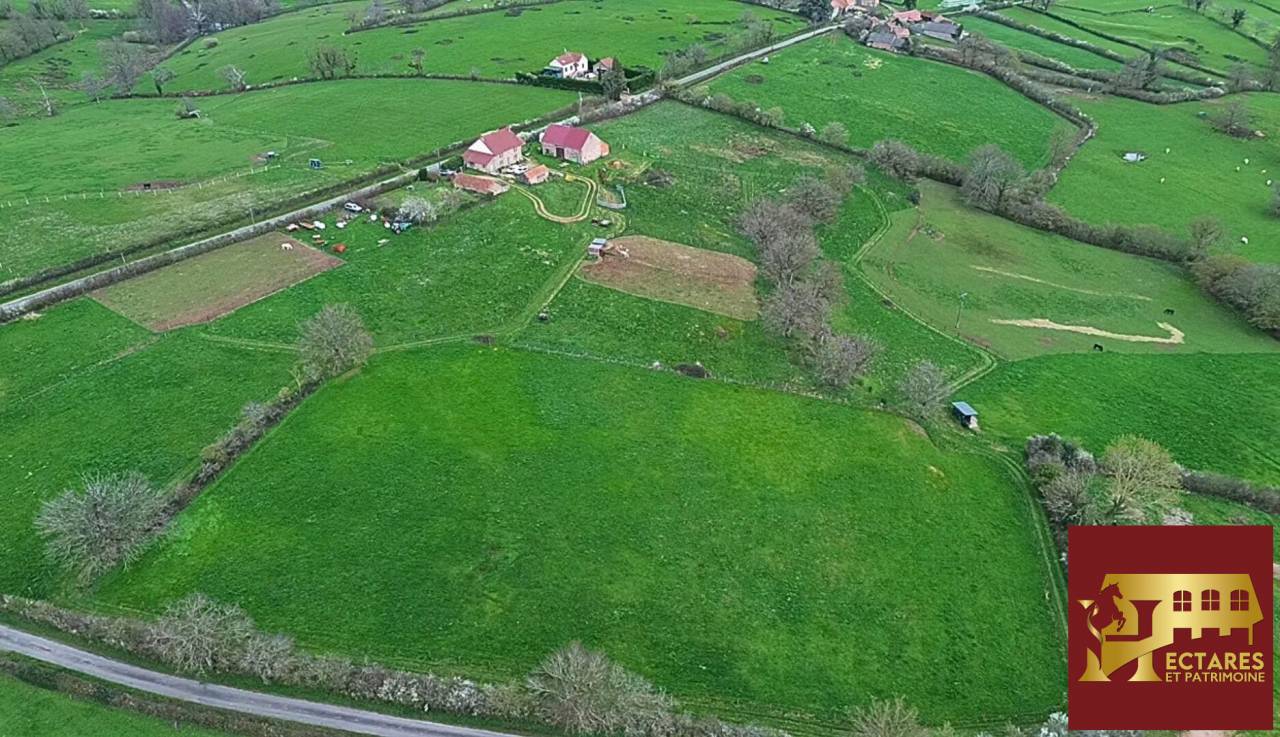 Equestrian Bed and Breakfast  Allier