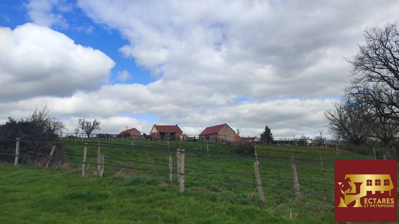 Equestrian Bed and Breakfast  Allier