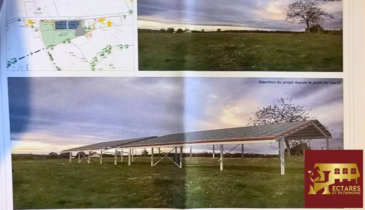 Equestrian Bed and Breakfast  Allier