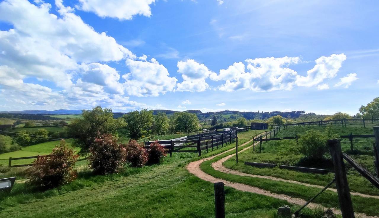 Equestrian Bed and Breakfast  Allier