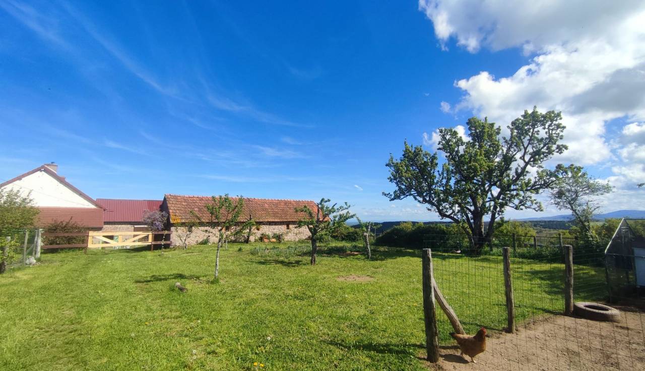 Equestrian Bed and Breakfast  Allier