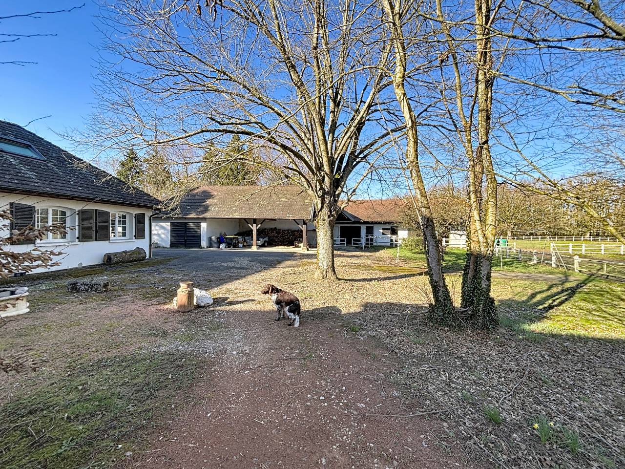 Luxurious equestrian property  Ain