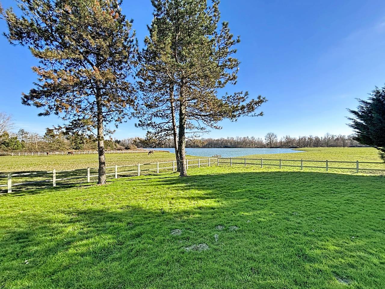 Luxurious equestrian property  Ain