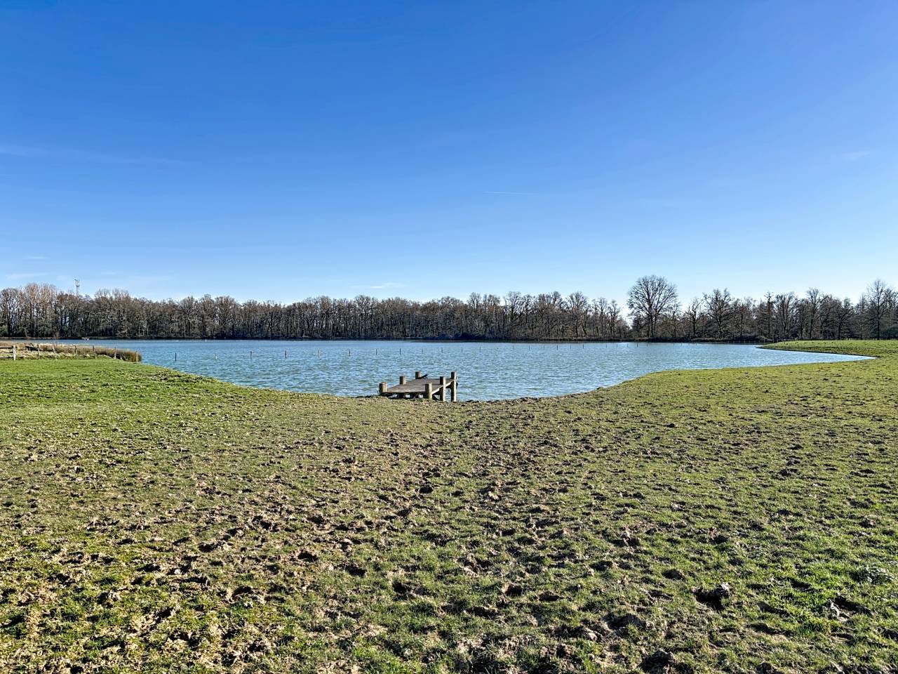 Luxurious equestrian property  Ain