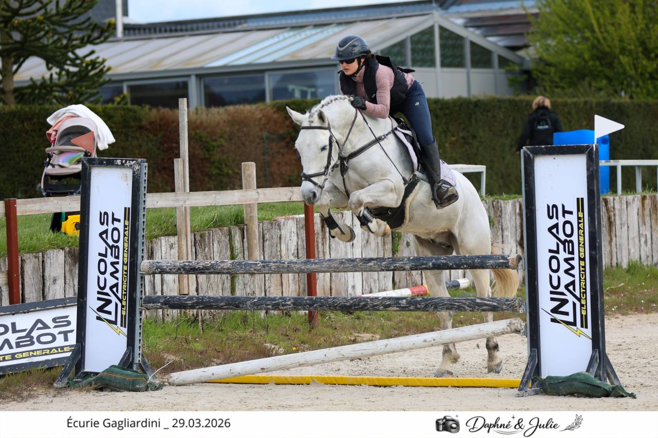 Gelding Other Pony Breed For sale 2019 White