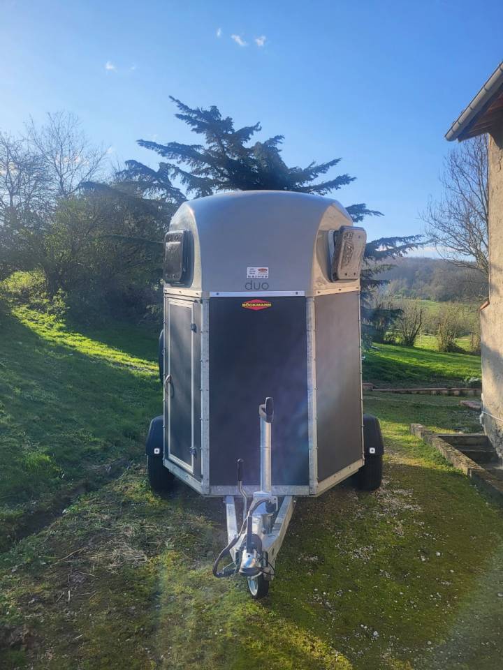 Horse trailer Bockmann Duo esprit Silver+Black 2 Stalls 2022 Used
