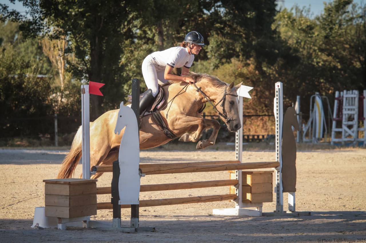 Mare Origin Recorded For sale 2022 Palomino