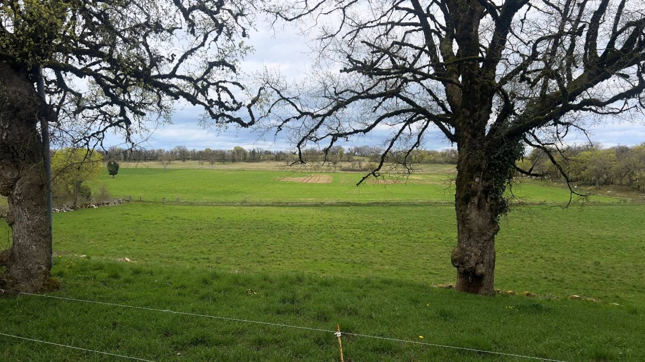 Luxurious equestrian property  Lot