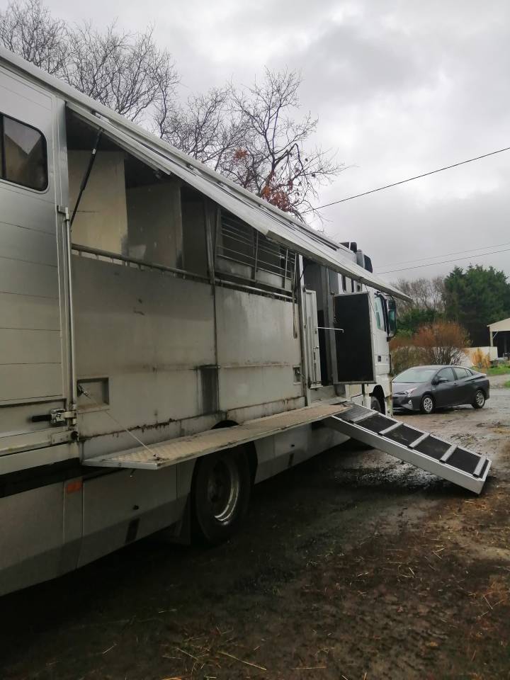 Horsebox NON-HGV Mercedes Actros  2005 Used