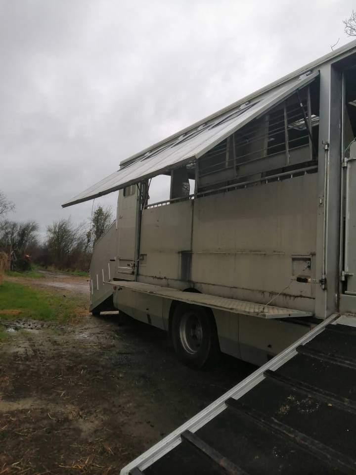 Horsebox NON-HGV Mercedes Actros  2005 Used