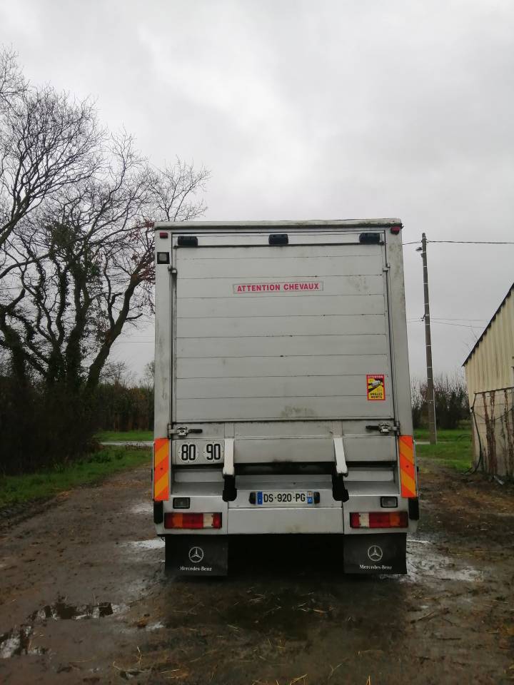 Horsebox NON-HGV Mercedes Actros  2005 Used