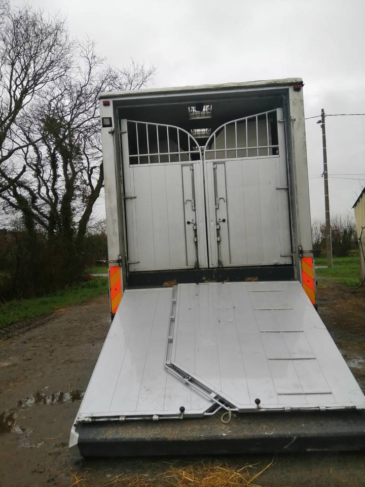 Horsebox NON-HGV Mercedes Actros  2005 Used