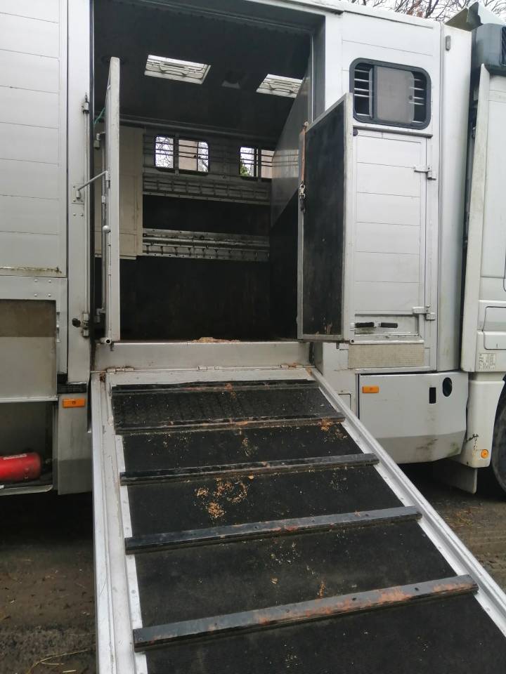 Horsebox NON-HGV Mercedes Actros  2005 Used