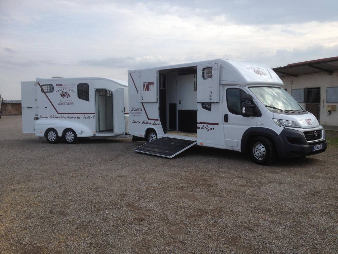 Horsebox HGV Fiat  FIAT MTM 2016 Used