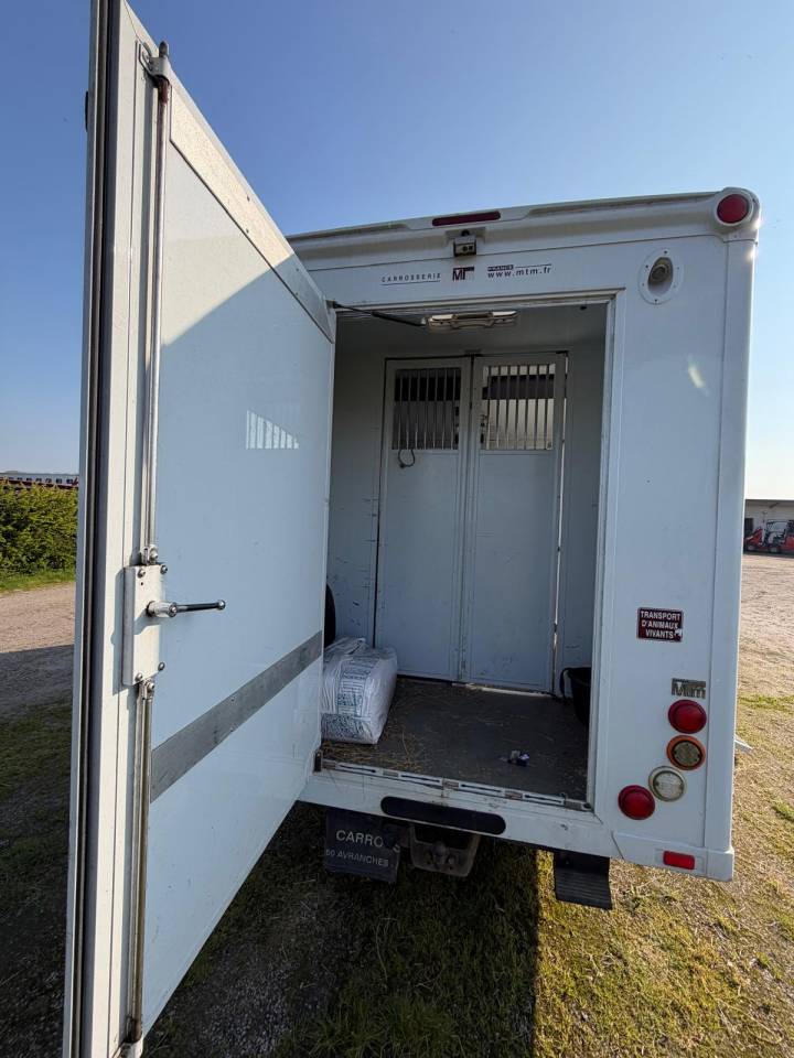 Horsebox HGV Fiat  FIAT MTM 2016 Used