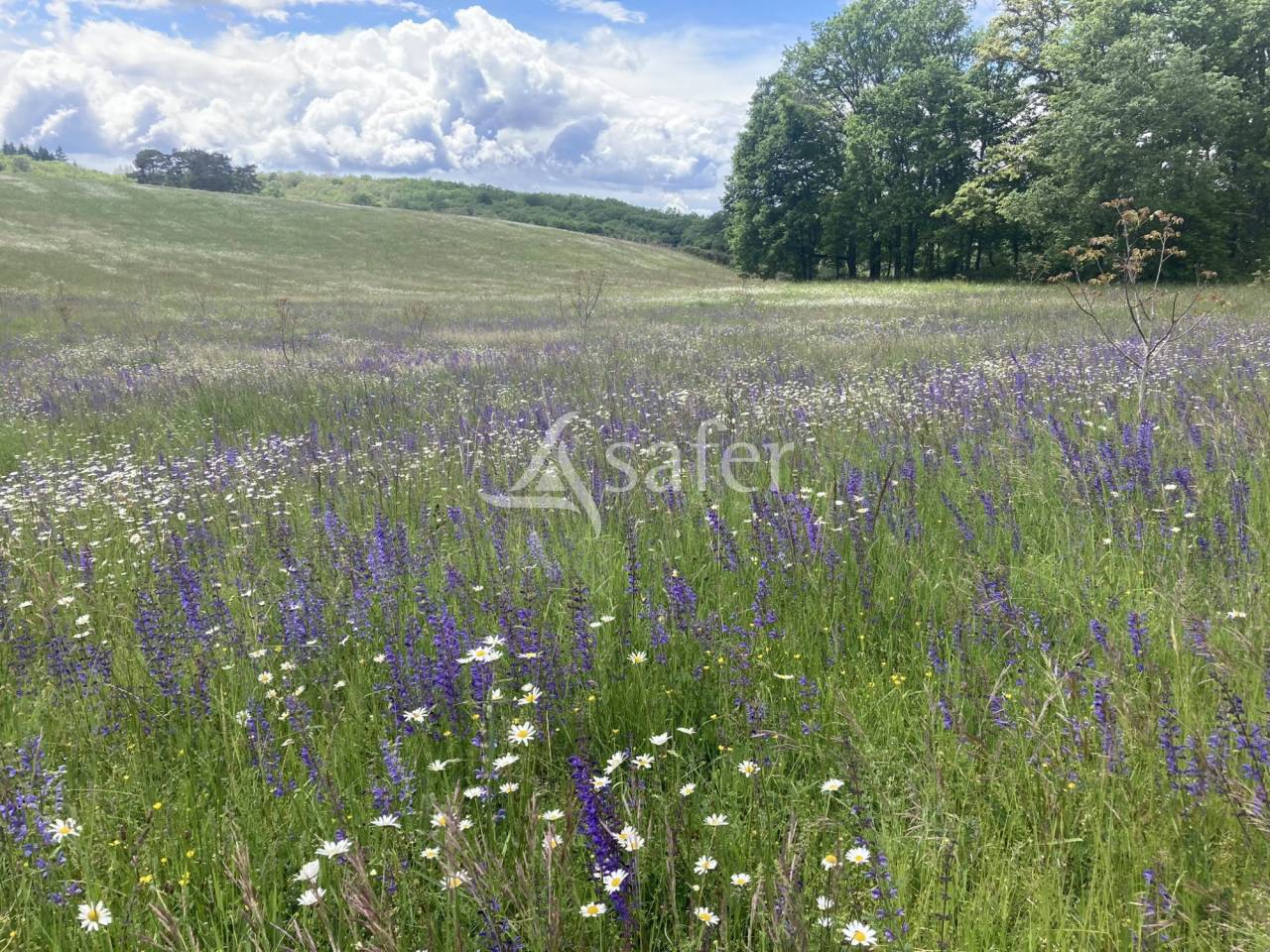Other agricultural property  Dordogne