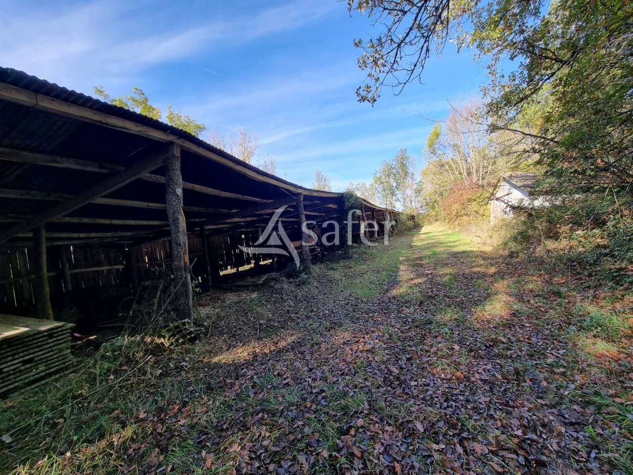 Other country property  Lot