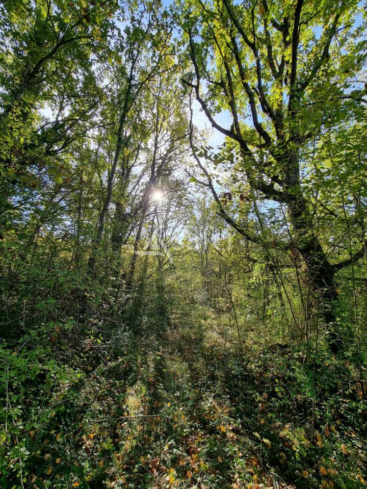 Other country property  Lot