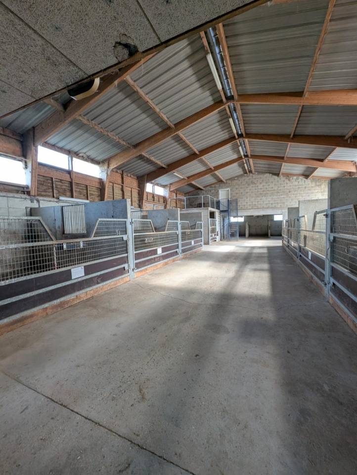 Equestrian property  Calvados