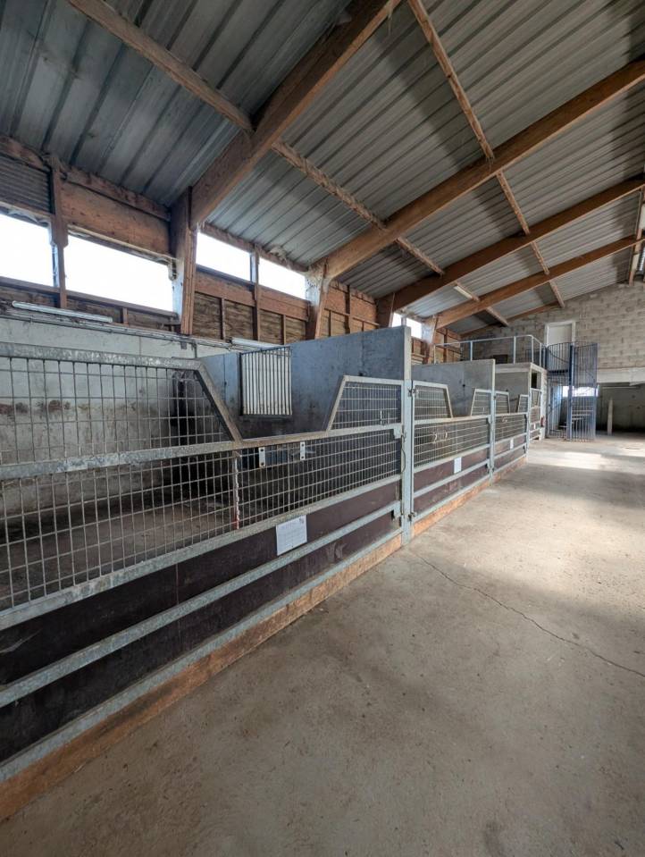 Equestrian property  Calvados