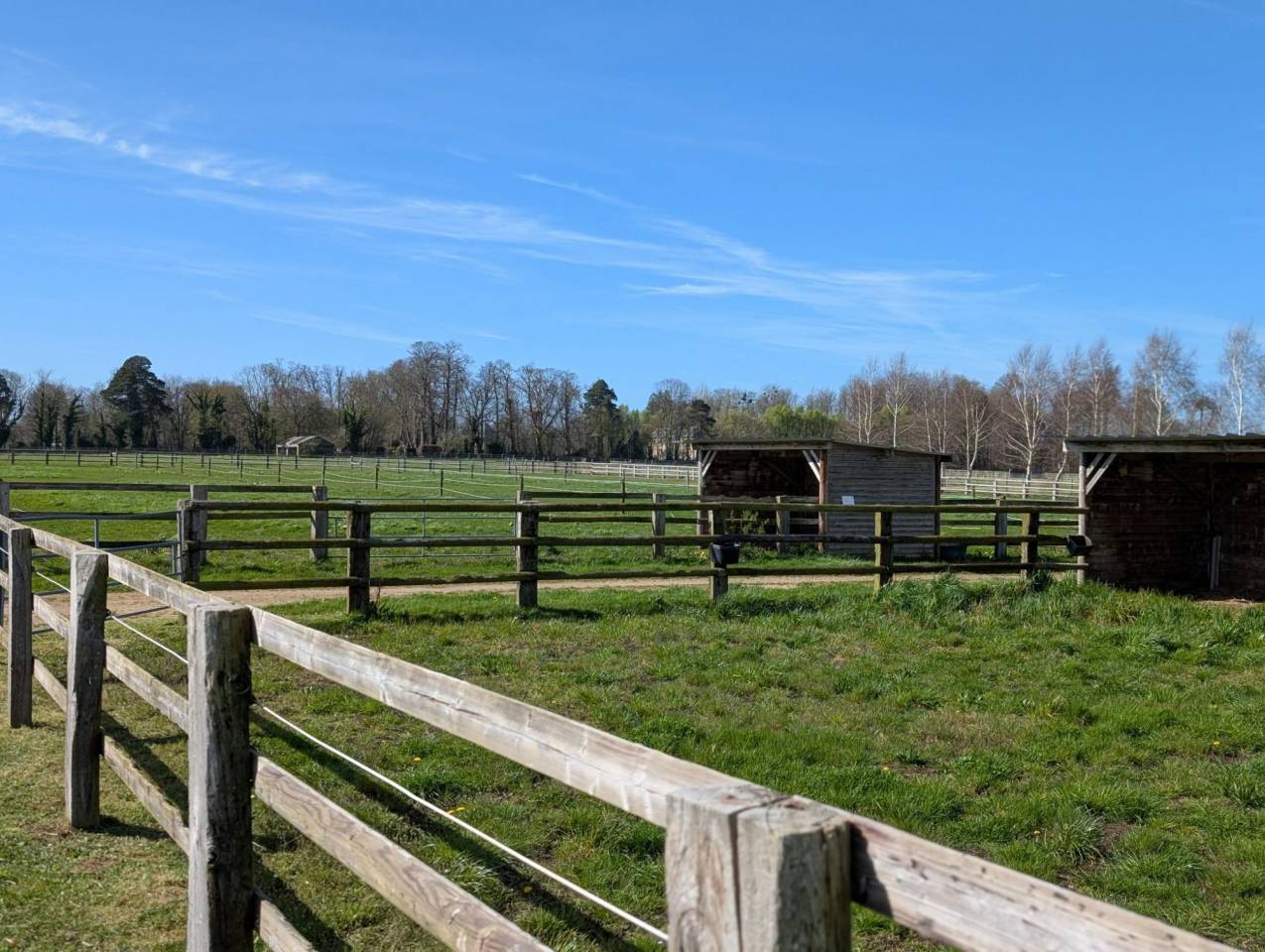 Equestrian property  Calvados