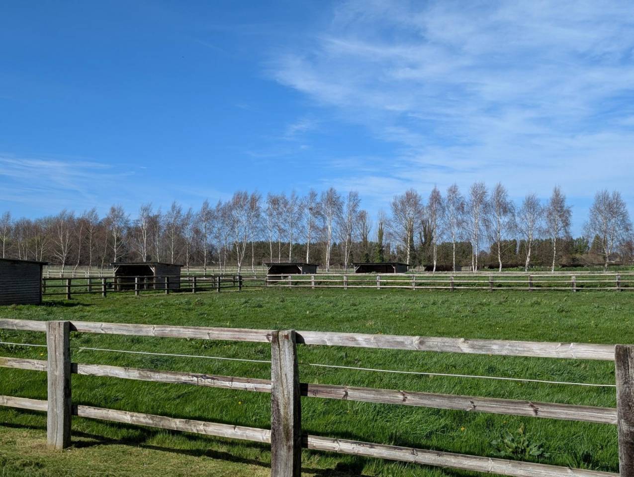 Equestrian property  Calvados