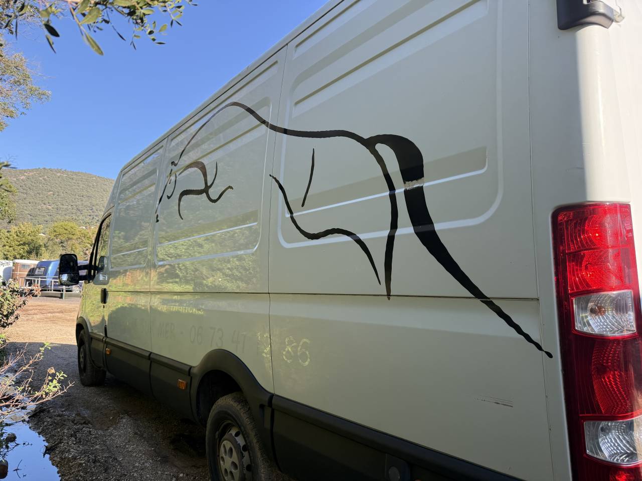 Horsebox HGV Iveco Daily 2007 Used