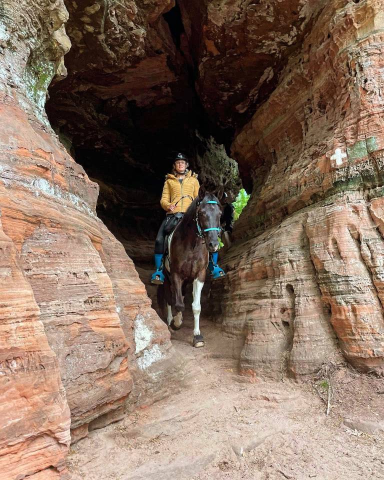 Gelding Arabian Half Blood For sale 2017 Tobiano