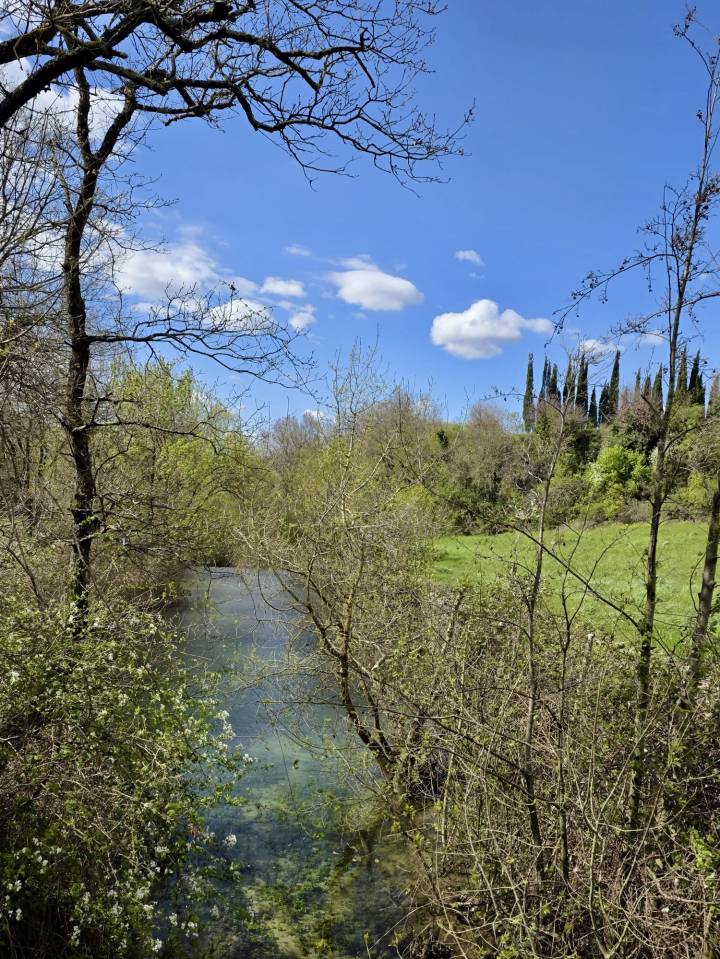 Luxurious equestrian property  Dr&ocirc;me
