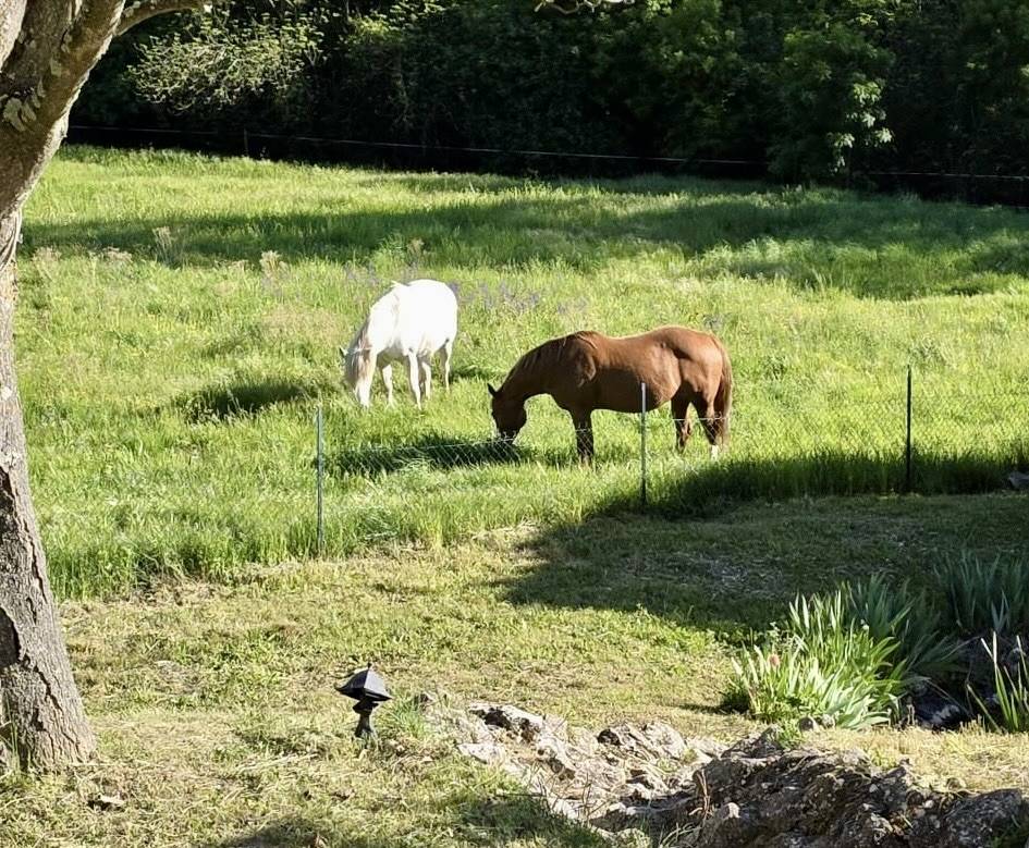 Luxurious equestrian property  Dr&ocirc;me