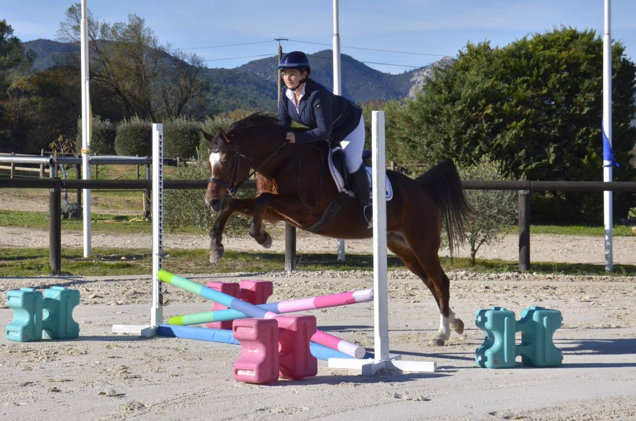 Mare Arabian Thoroughbred For sale 2013 Bay