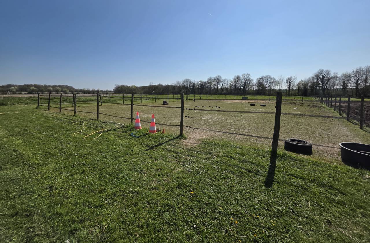 Luxurious equestrian property  Charente-Maritime